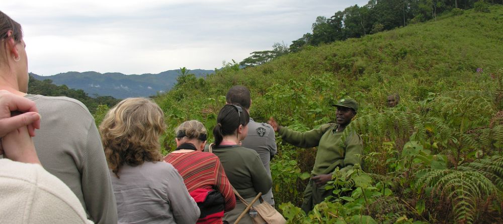 Trekking through the bush at Engagi Lodge, Bwindi Impenetrable Forest, Uganda - Image 5