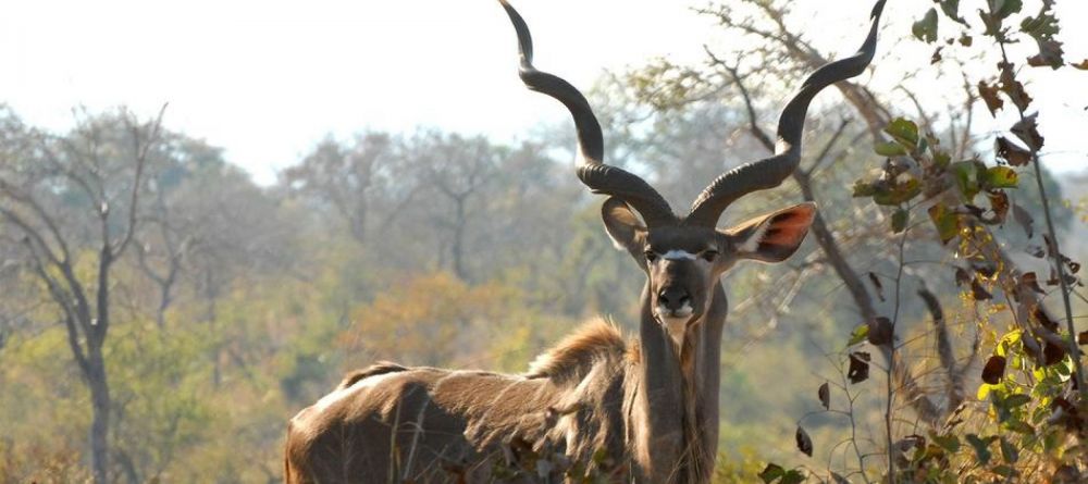 Sandibe Safari Lodge, Okavango Delta, Botswana - Image 13
