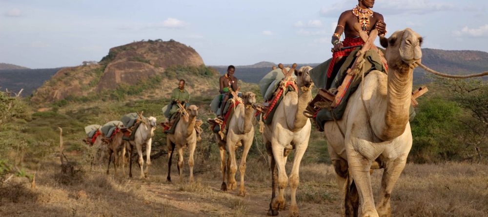 Camel back exploration at Ol Malo, Laikipia, Kenya - Image 9