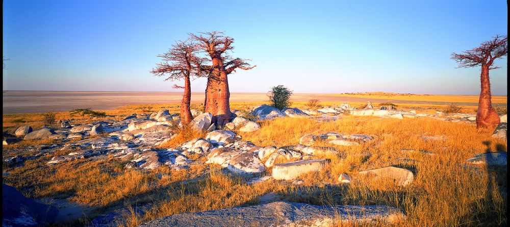 Camp Kalahari, Makgadikgadi Pans, Kalahari Desert, Botswana - Image 1