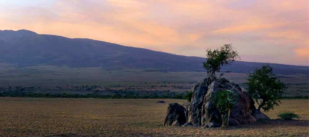 Olduvai Camp - Image 1