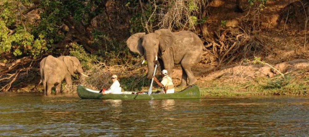 Zambezi Expeditions - Image 2