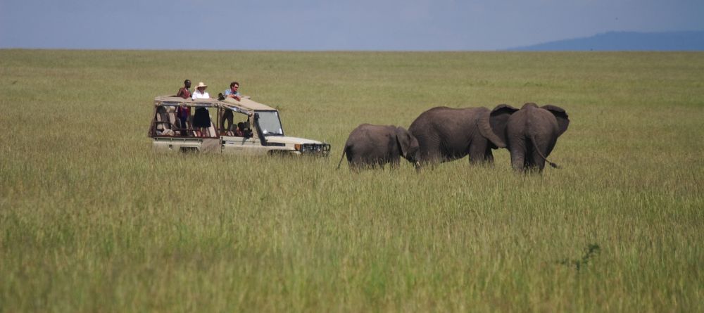 A game drive encounters a trio of elephants wandering the plains at Naibor Camp, Masai Mara National Reserve, Kenya - Image 6