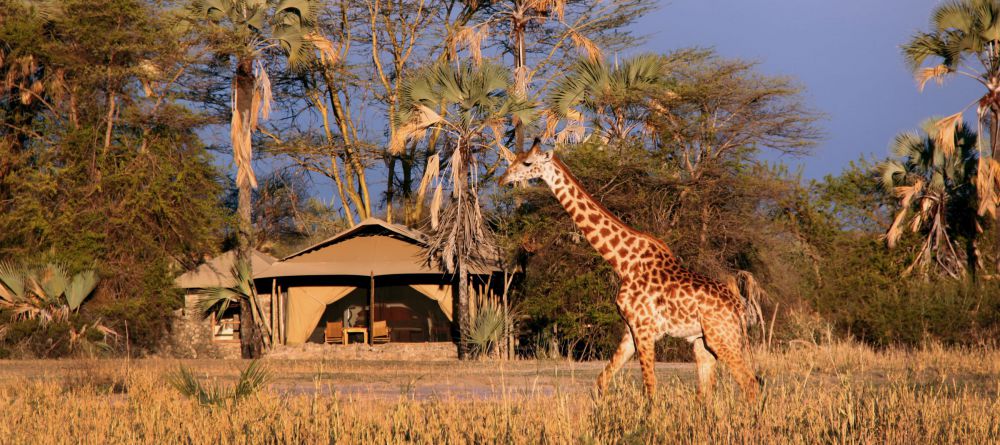 Chem Chem Lodge Wildlife - Image 11