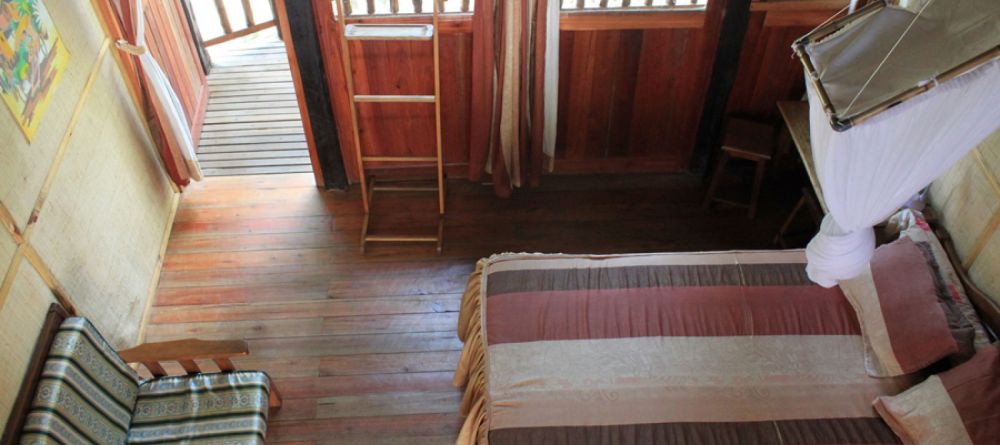 Feon Ny Ala, Andasibe National Park, Madagascar - Image 2