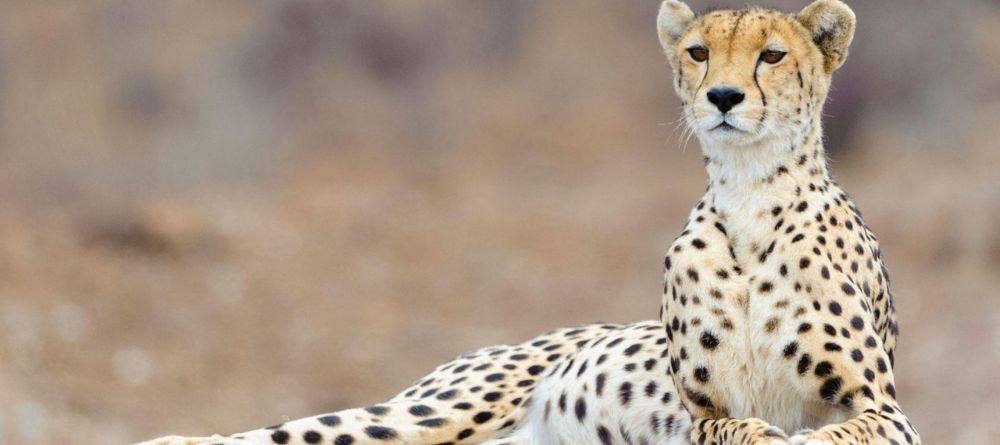 Mashatu Lodge, Mashatu Game Reserve, Botswana - Image 21