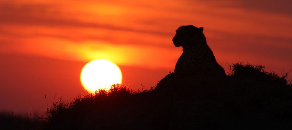 Savanna Lodge - Image 2