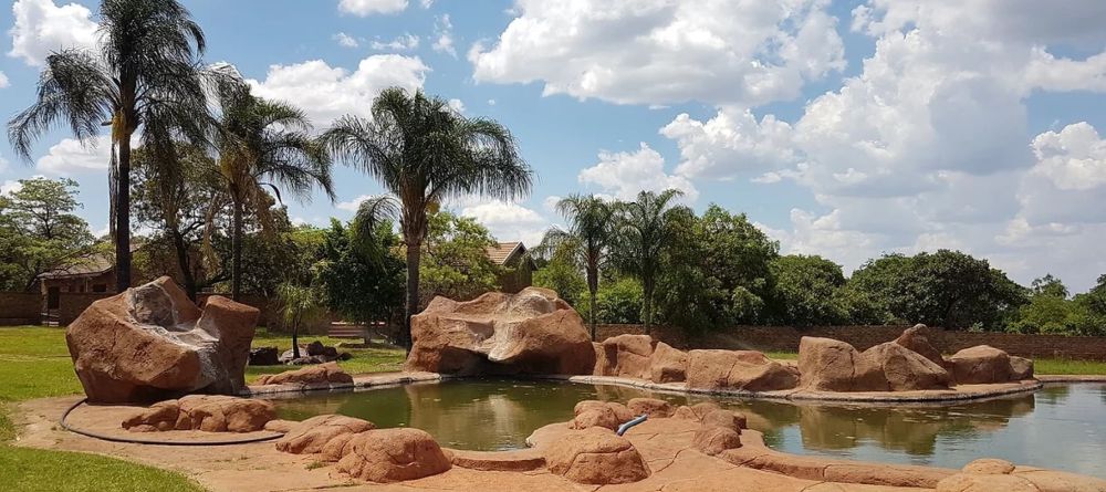 Cheetah Experience Pool - Image 1