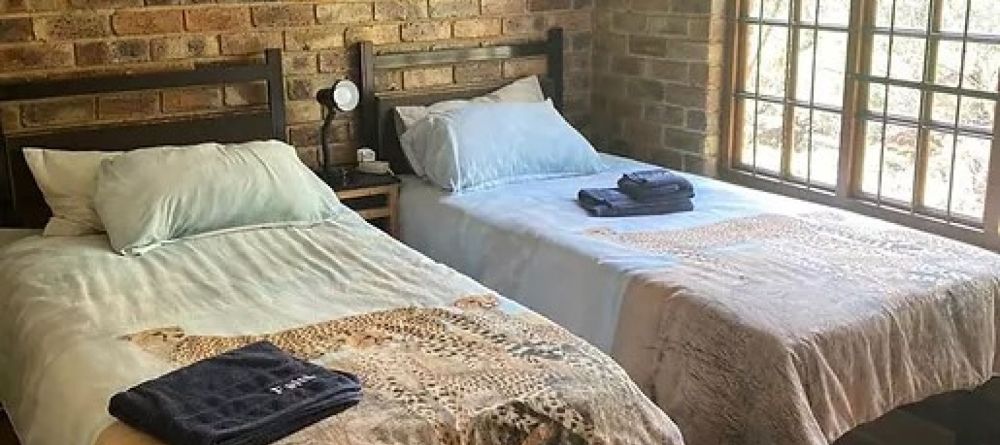 Cheetah Experience Room - Image 2