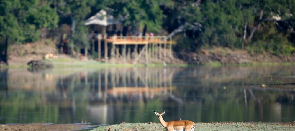 Chindeni Bush Camp, South Luangwa National Park, Zambia - Image 5