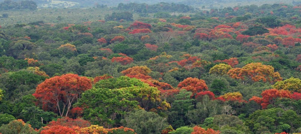 Chintheche Inn, Lake Malawi, Malawi Â© Wilderness Safaris - Image 10