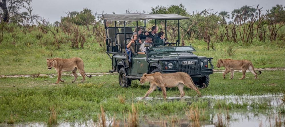 Chitabe Lediba Camp, Moremi Game Reserve, Botswana - Image 9