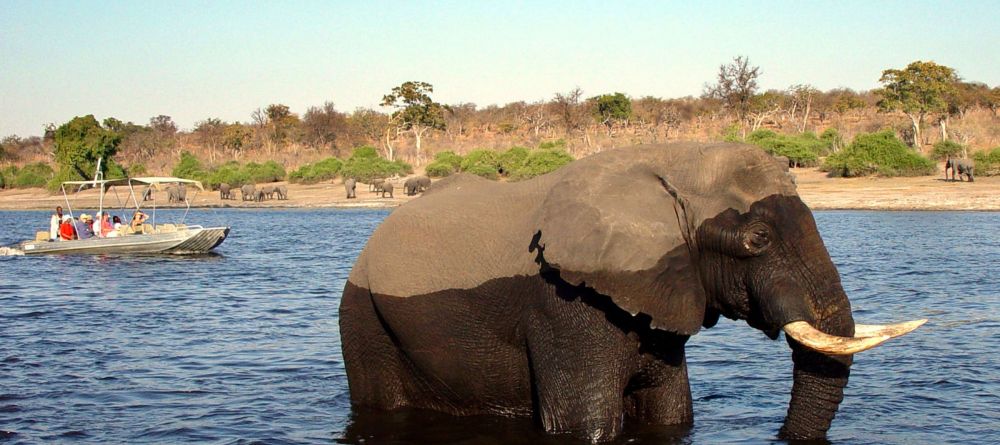 Chobe Safari Lodge, Chobe National Park, Botswana - Image 8