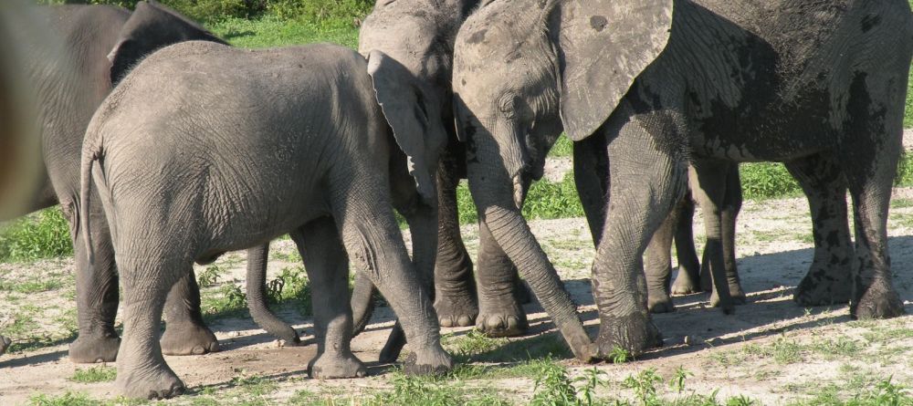 Chobe Under Canvas, Chobe National Park, Botswana - Image 3
