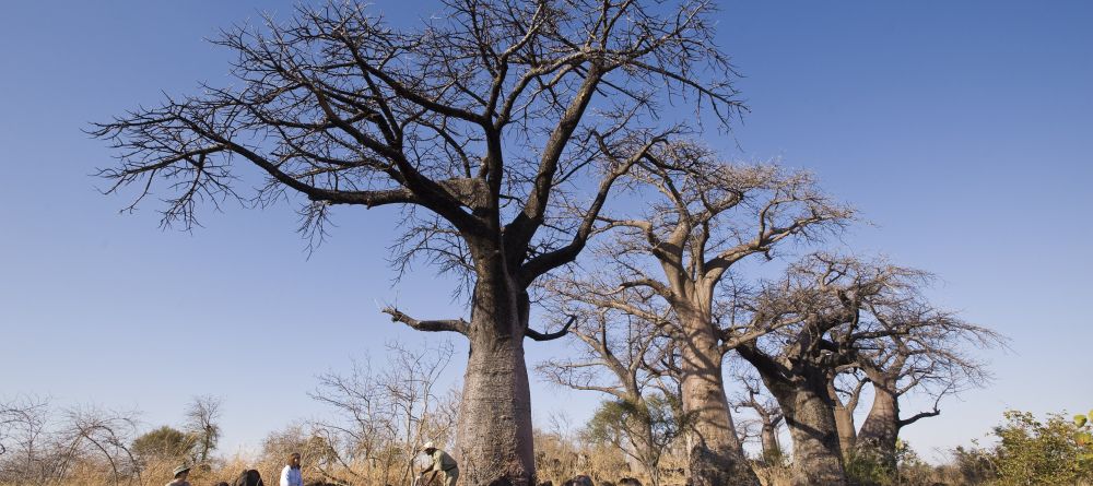 Chobe Under Canvas, Chobe National Park, Botswana - Image 5