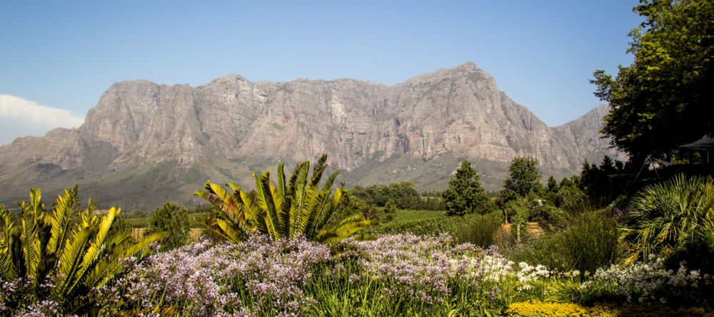 Clouds Estate, Stellenbosch, South Africa - Image 5