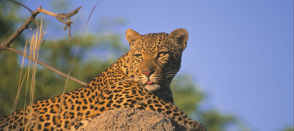 Dulini Leadwood Lodge - Image 1