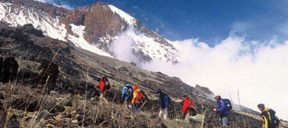 The Machame Route, Mt Kilimanjaro, Tanzania - Image 4