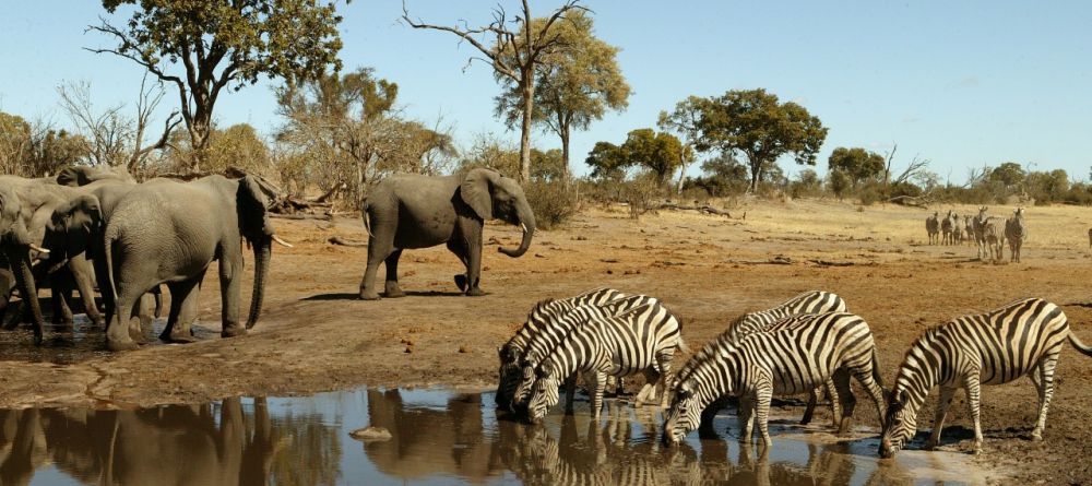 Elephants at the waterhole - Image 3