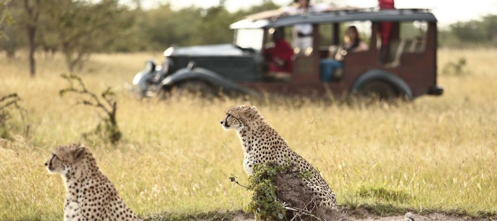 Cottar's 1920s Camp - Image 13