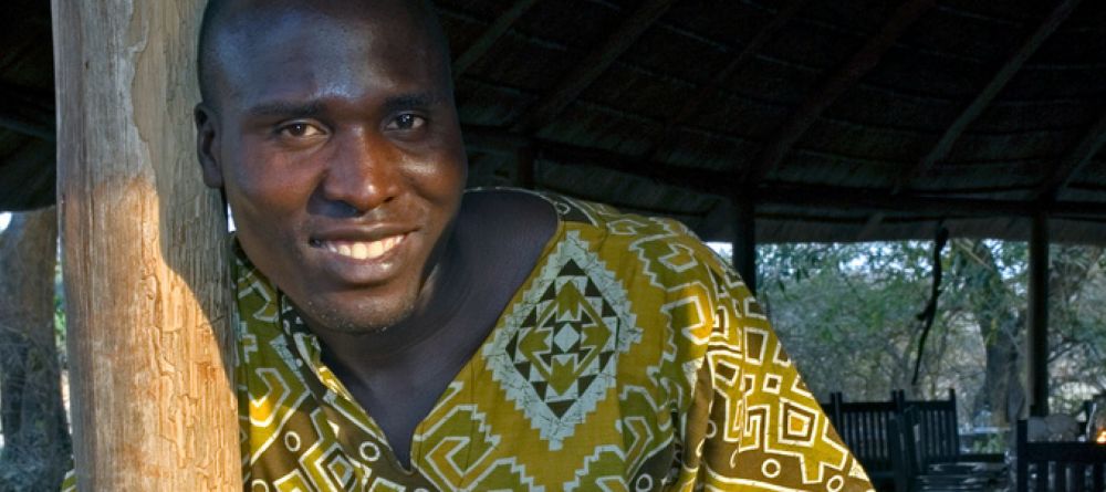 Crocodile skull- Kaingo Camp, South Luangwa National Park, Zambia - Image 9