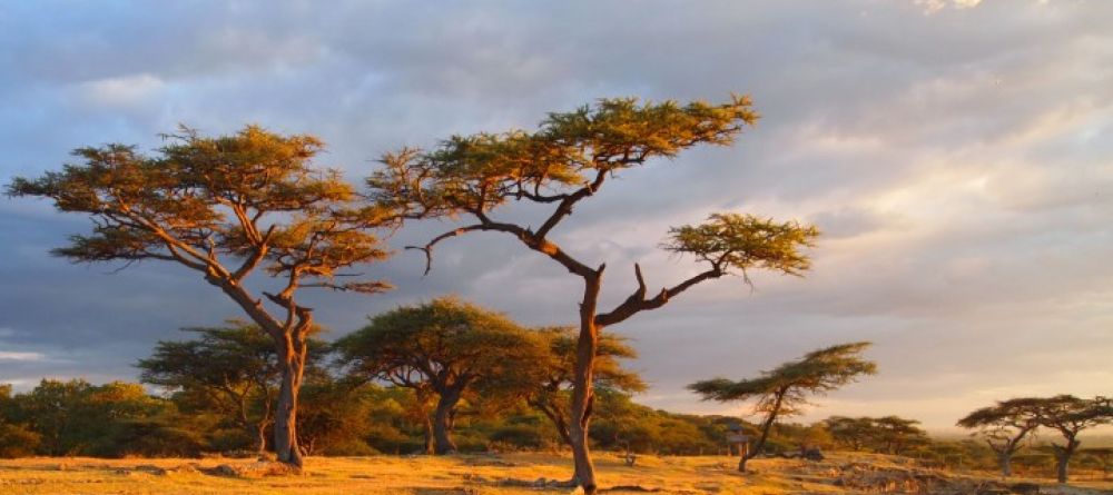 Bishangari Lodge, Bale Mountains National Park, Ethiopia - Image 8