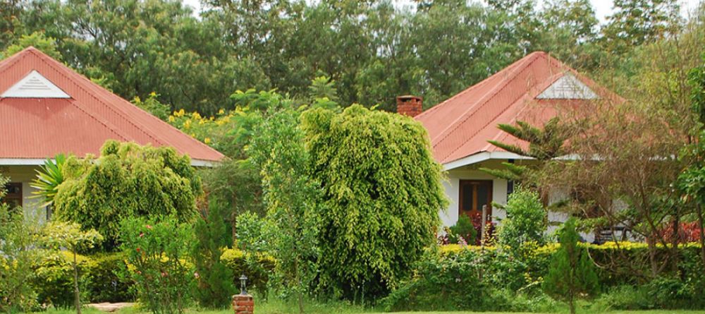 Bougainvillea Safari Lodge, Karatu, Tanzania - Image 1