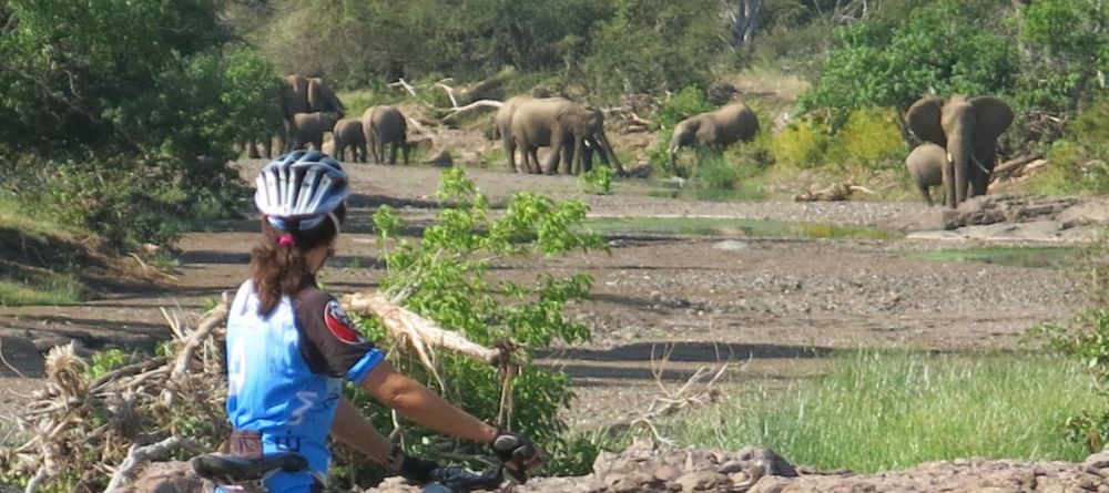 Mashatu Lodge, Mashatu Game Reserve, Botswana - Image 24