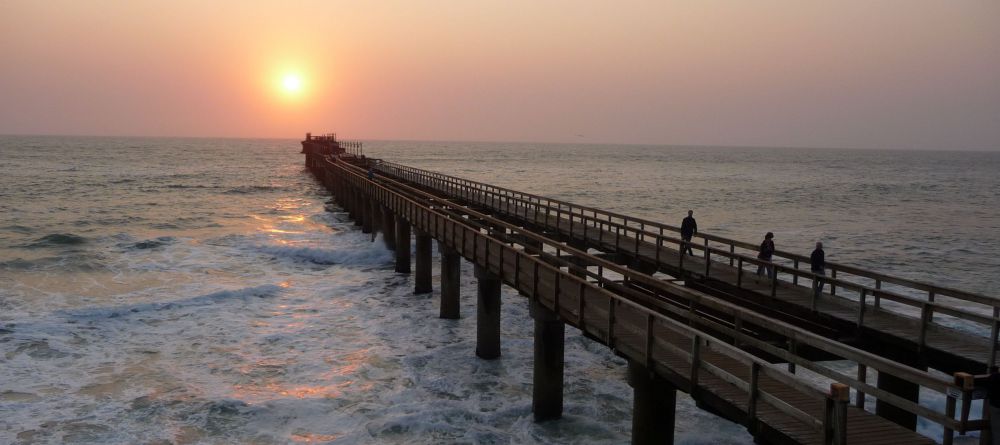 The Delight - Image 3