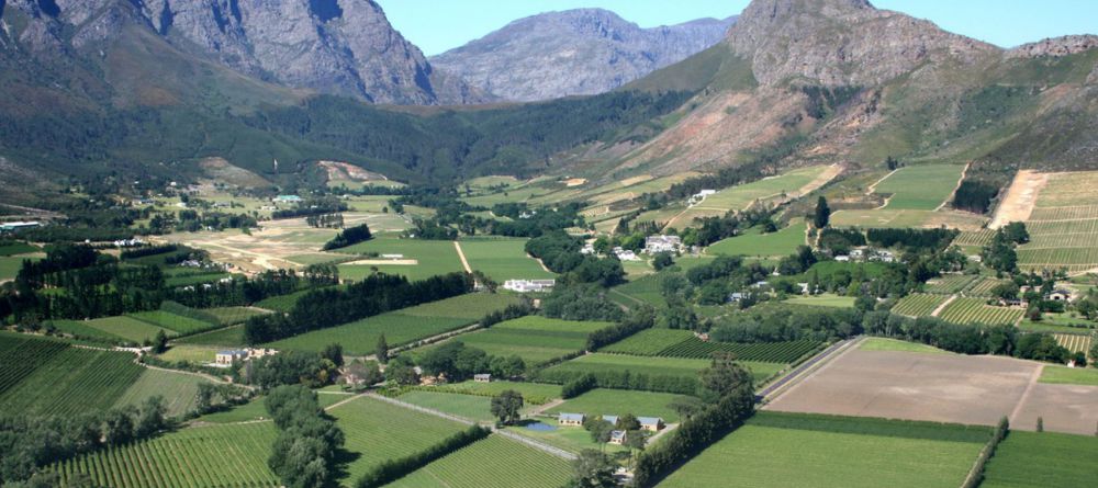 La Petite Dauphine - Image 3