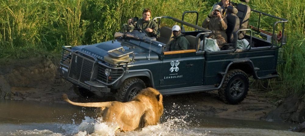 A thrilling encounter with a lion during a game drive at Londolozi Founders Camp, Sabi Sands Game Reserve, South Africa - Image 7