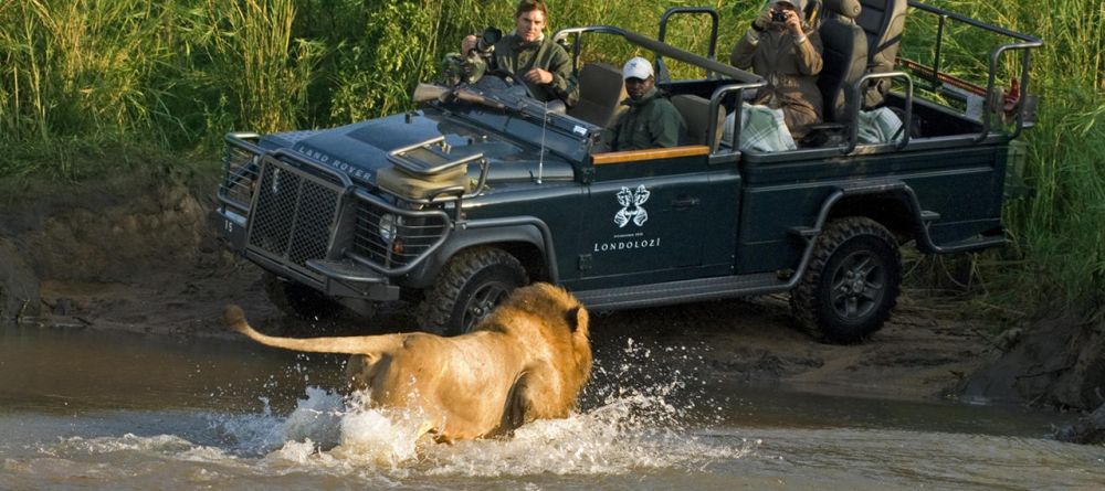 A close-up encounter with a lion during a game drive at Londolozi Varty Camp, Sabi Sands Game Reserve, South Africa - Image 5