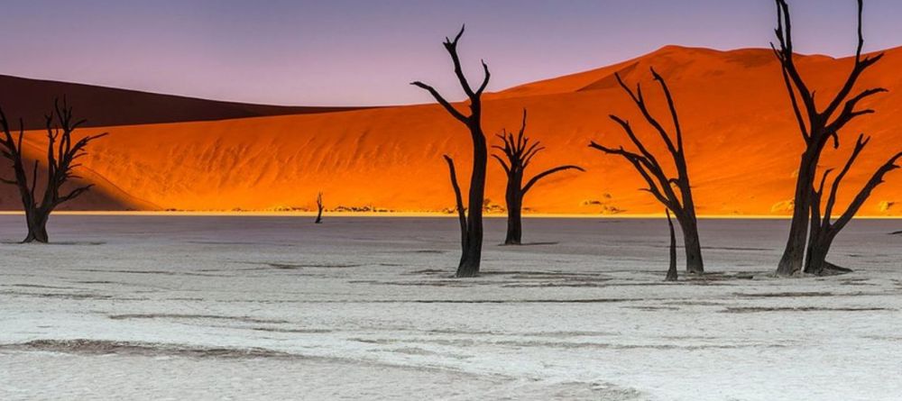 Dead Valley Lodge - Image 6