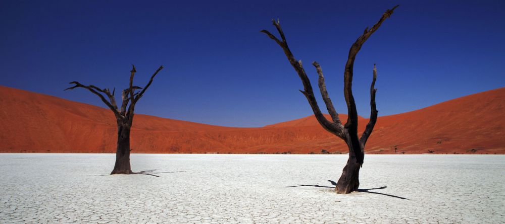 Desert Homestead Outpost - visit dead vlei - Image 1