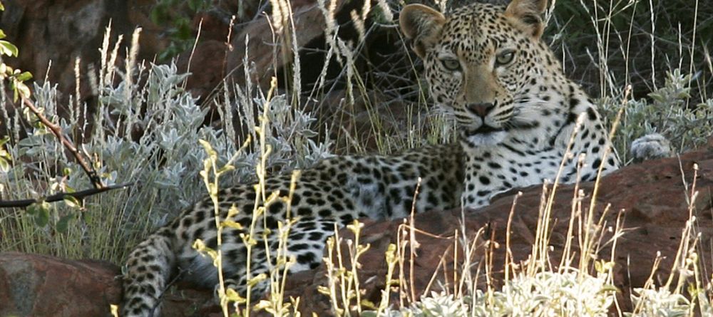 Desert Rhino Camp, Damaraland, Namibia Â© Mike Myers - Image 2