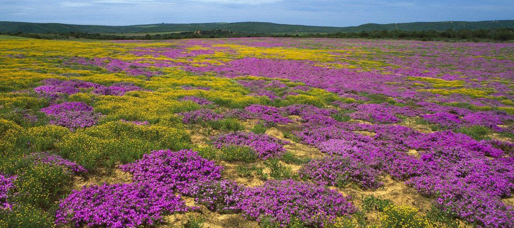 The Longhouse Guesthouse, Namakwaland, South Africa - Image 5