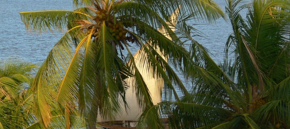 A dhow hiding behind palm trees at Peponi Hotel, Lamu Island, Kenya - Image 3