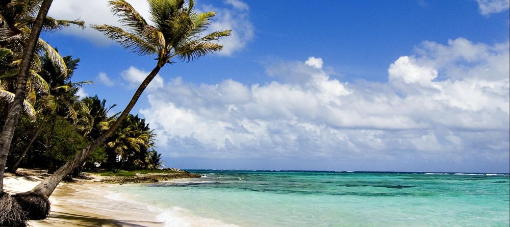 AfroChic Diani - Image 5