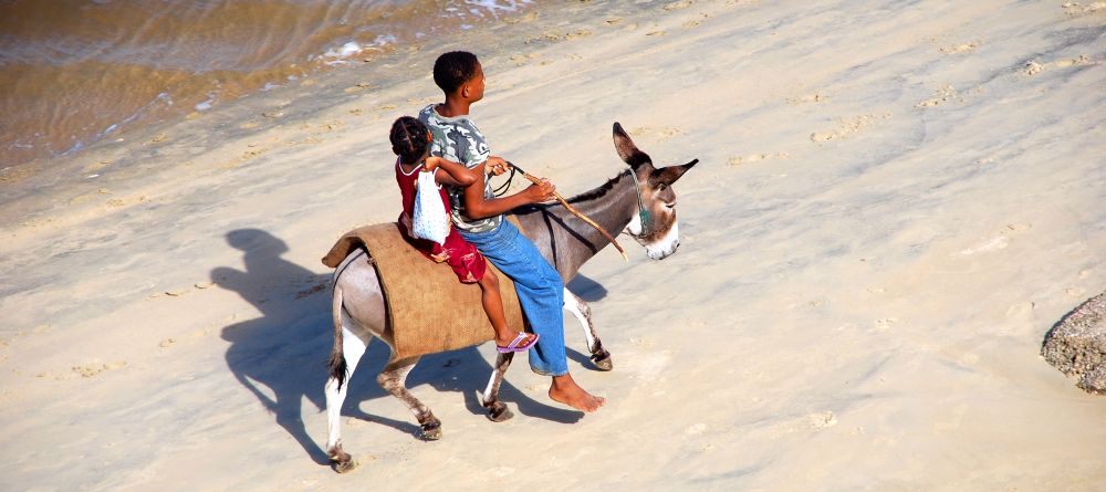 Local life at Peponi Hotel, Lamu Island, Kenya - Image 1