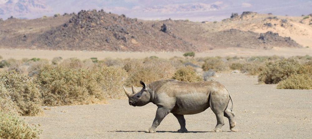Doro Nawas Camp, Damaraland, Namibia Â© Dana Allen - Image 11
