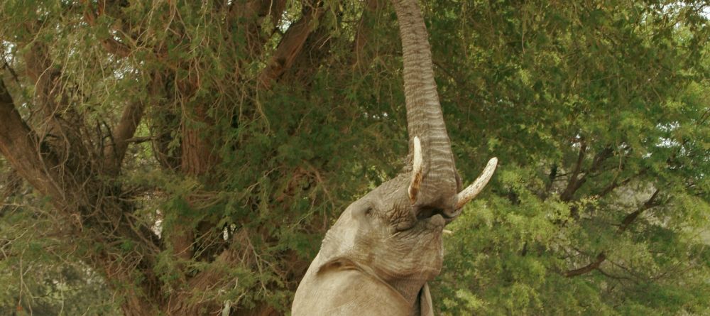 Doro Nawas Camp, Damaraland, Namibia Â© Mike Myers - Image 7
