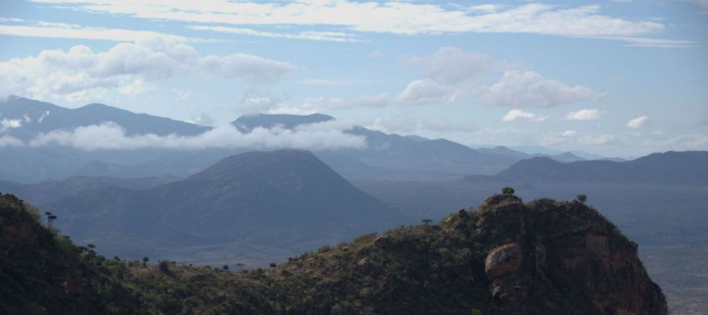 Desert Rose View - Image 4