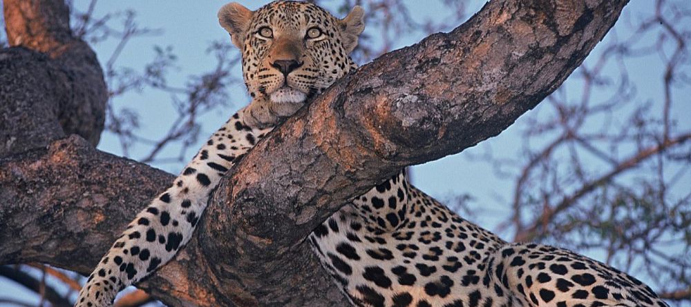 Dulini River Lodge - Image 1