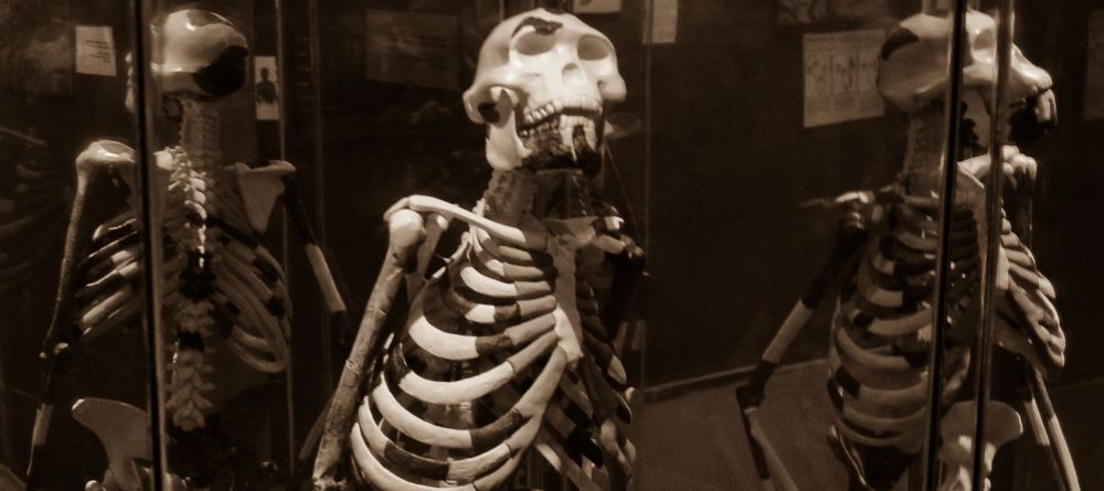 'Lucy' at a nearby museum - Jupiter Hotel, Addis Ababa, Ethiopia - Image 2