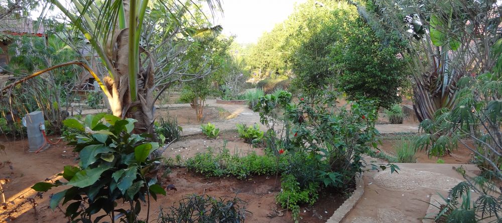 The gardens at Orchidee Hotel, Tsingy, Madagascar (Mango Staff photo) - Image 4