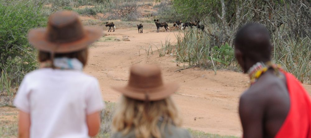 Walking safari vantage - Image 1