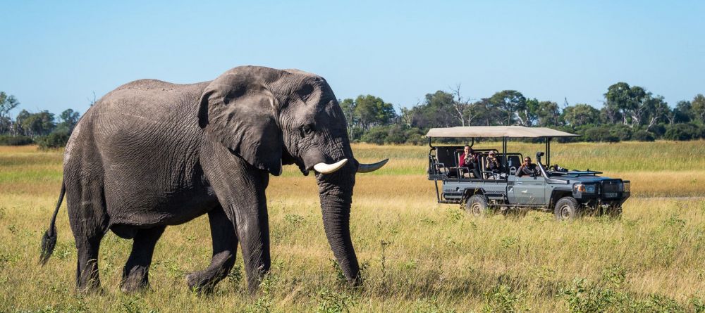 Duma Tau, Linyanti Wetlands, Botswana - Image 27