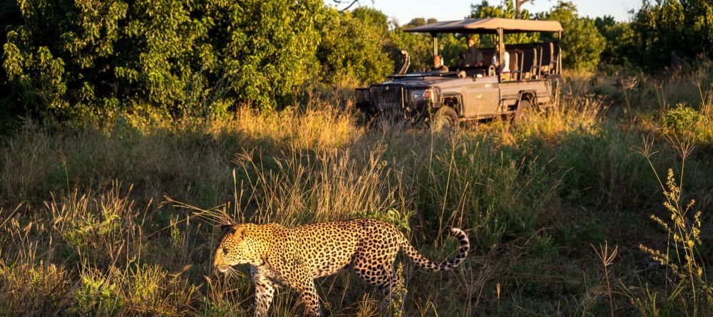 Duma Tau, Linyanti Wetlands, Botswana - Image 23