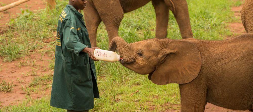 Lilayi Lodge, Lusaka, Zambia - Image 5