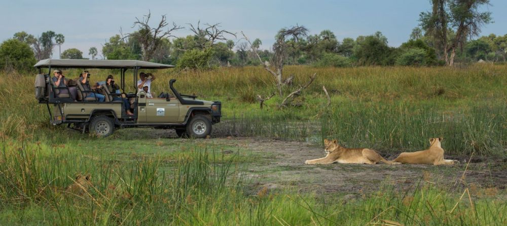 Game drive with lions - Image 13
